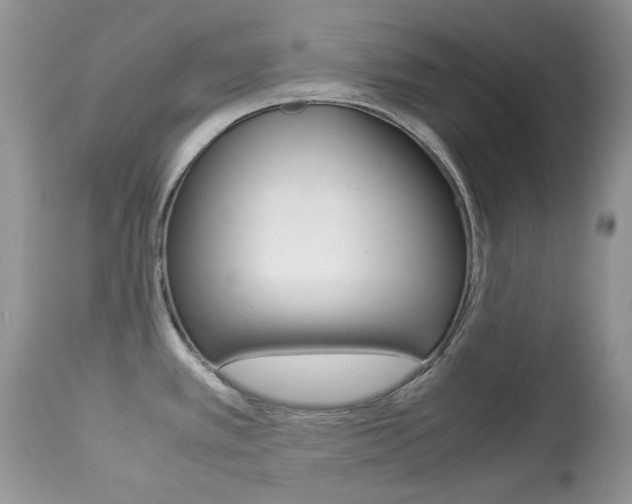 X0000113641389200909181318