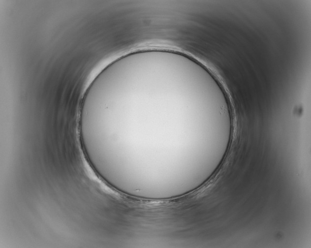X0000113641390200909181318