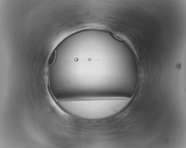 X0000113641391200909181318