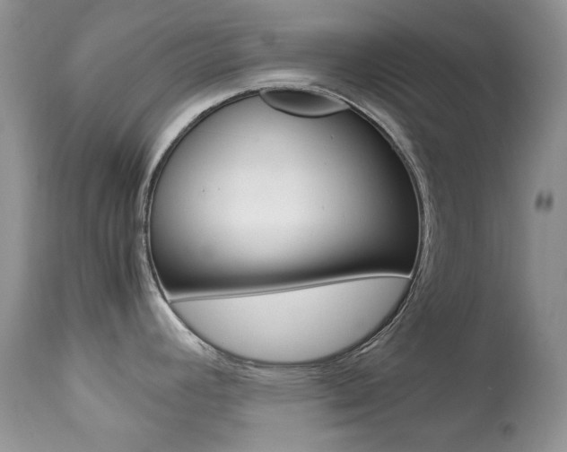 X0000113641392200909181318