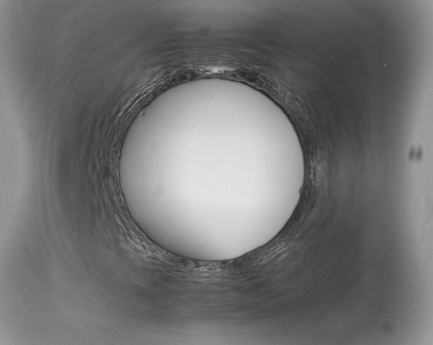 X0000113641393200909181318