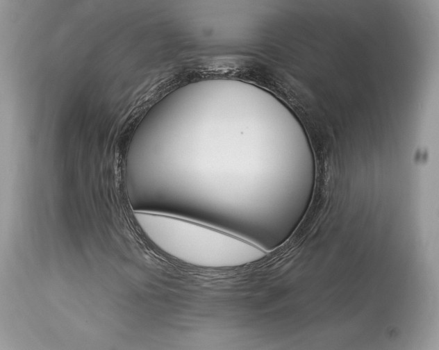 X0000113641394200909181318
