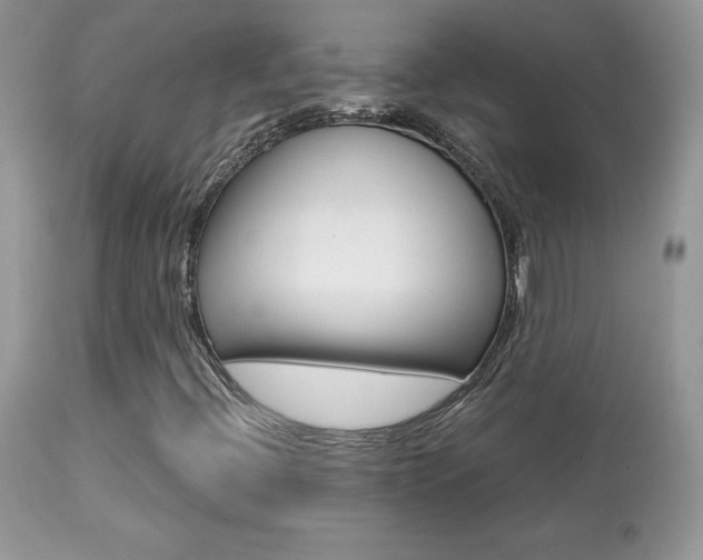 X0000113641396200909181318