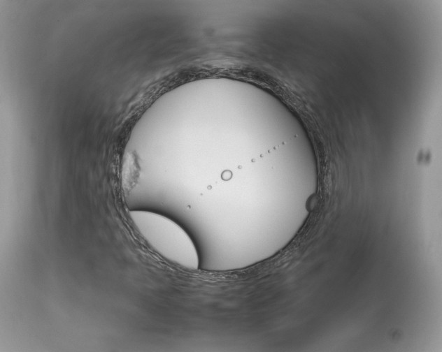X0000113641397200909181318