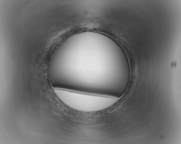 X0000113641398200909181318