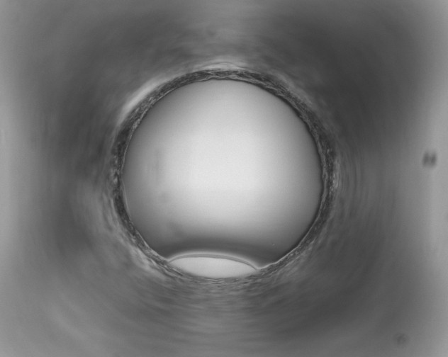 X0000113641400200909181318