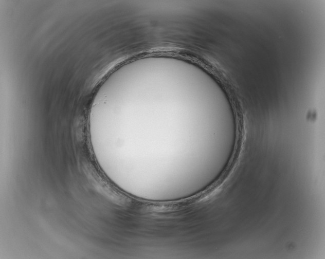 X0000113641401200909181318