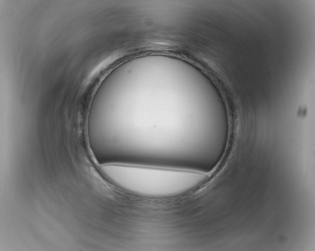 X0000113641402200909181318