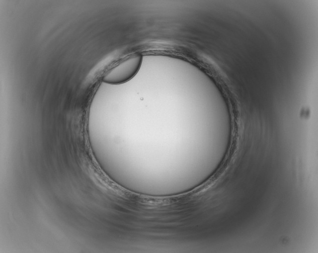 X0000113641403200909181318