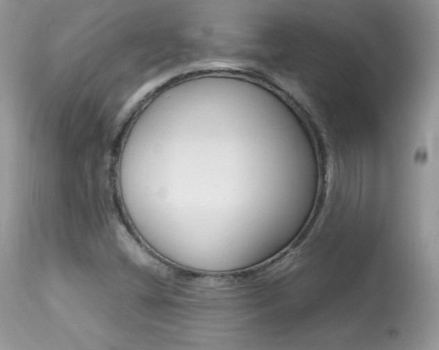 X0000113641404200909181318