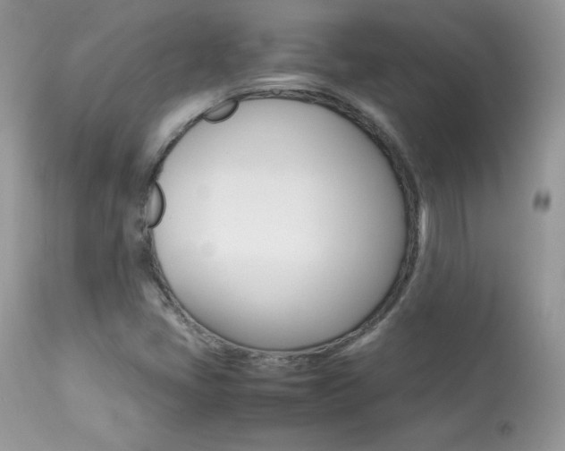 X0000113641405200909181318