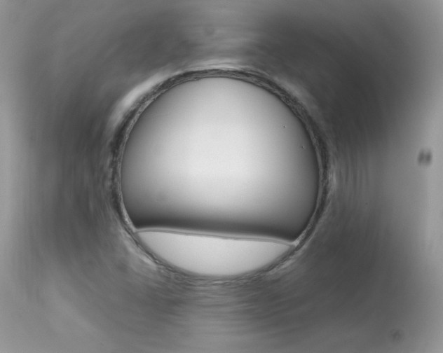 X0000113641406200909181318