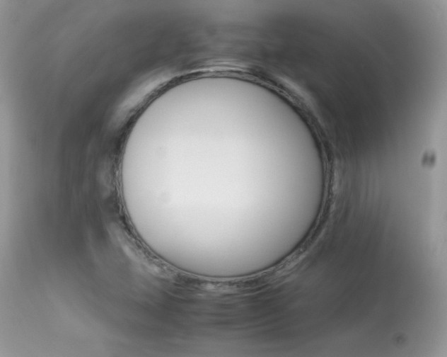 X0000113641407200909181318