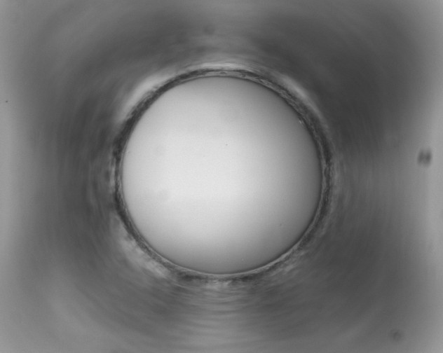 X0000113641408200909181318