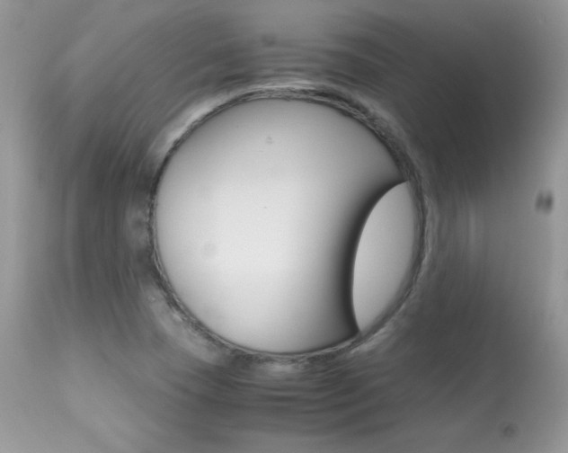 X0000113641409200909181318