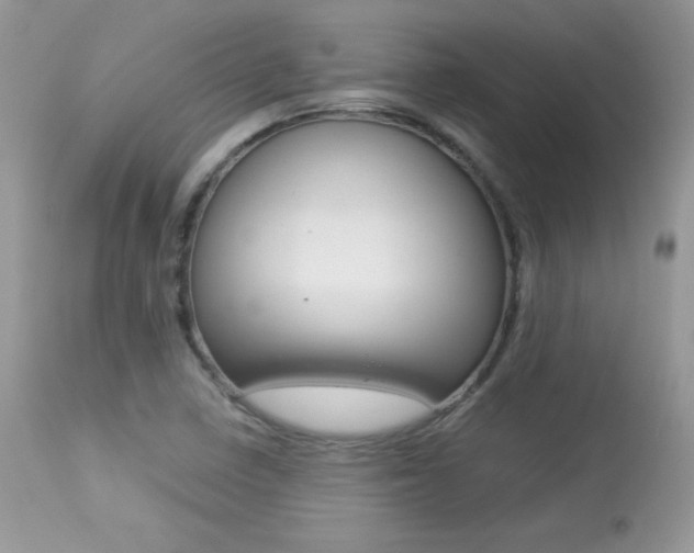 X0000113641410200909181318