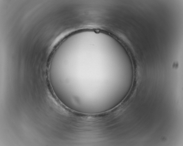 X0000113641412200909181318