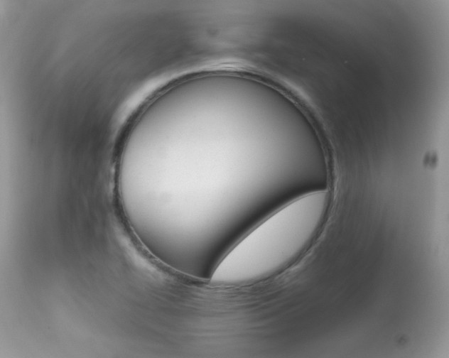 X0000113641414200909181318