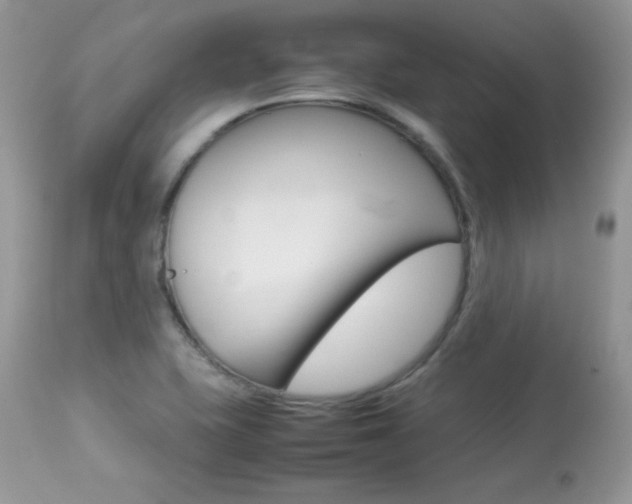 X0000113641415200909181318