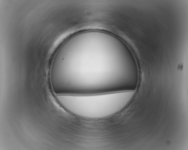 X0000113641416200909181318