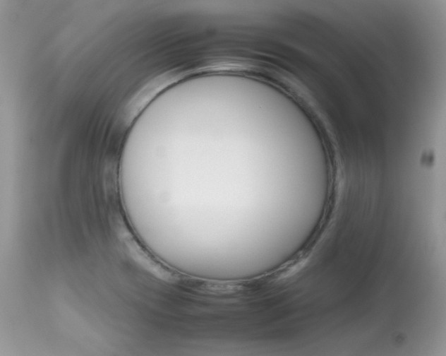 X0000113641417200909181318