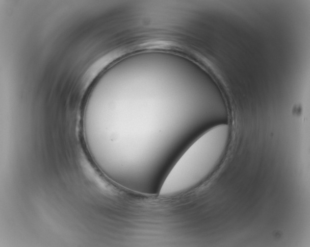 X0000113641418200909181318