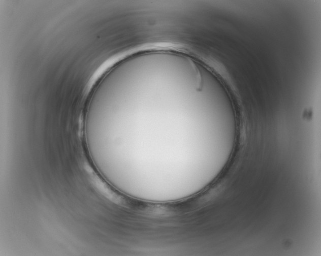 X0000113641420200909181318