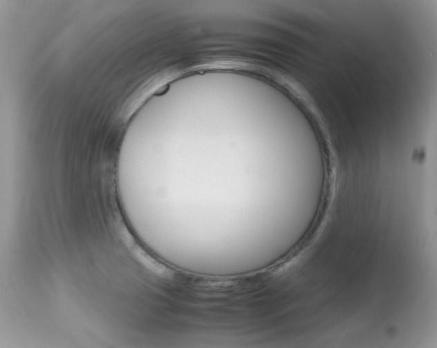 X0000113641425200909181318