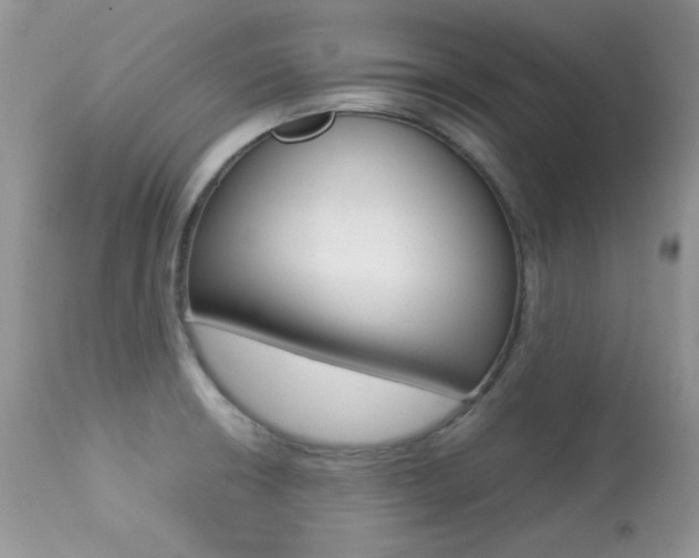 X0000113641426200909181318