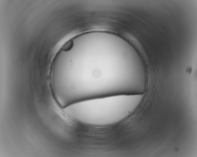 X0000113641427200909181318