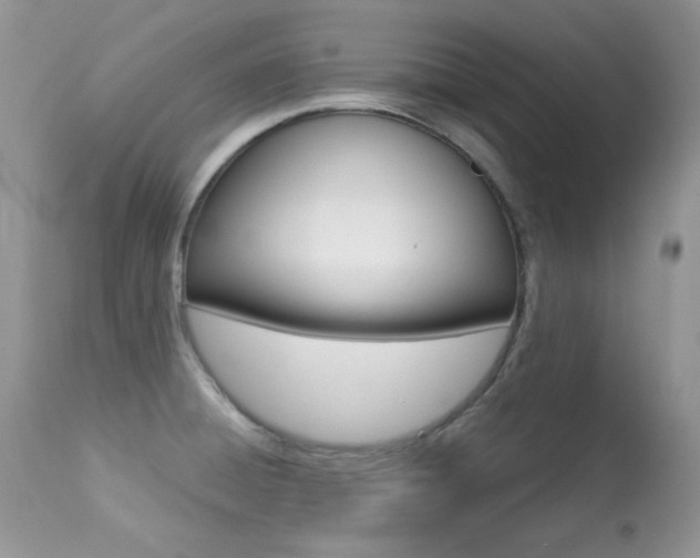X0000113641428200909181318