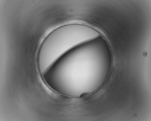 X0000113641430200909181318
