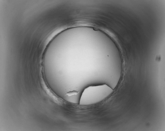 X0000113641431200909181318