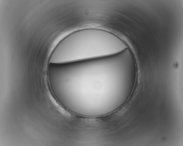 X0000113641432200909181318