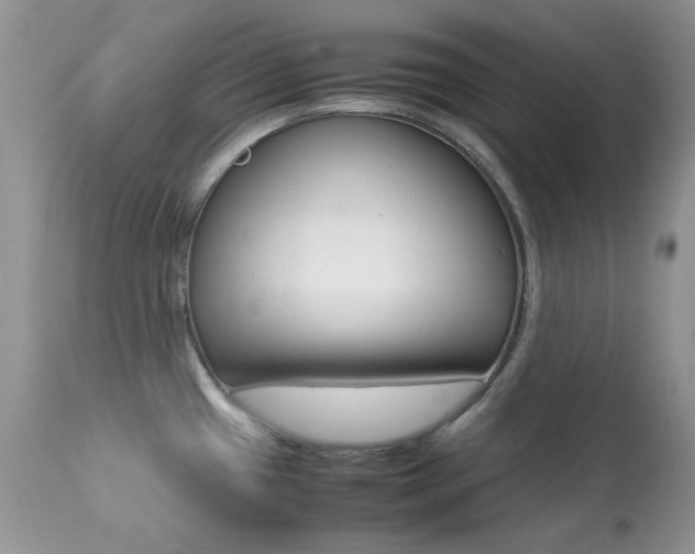 X0000113641433200909181318