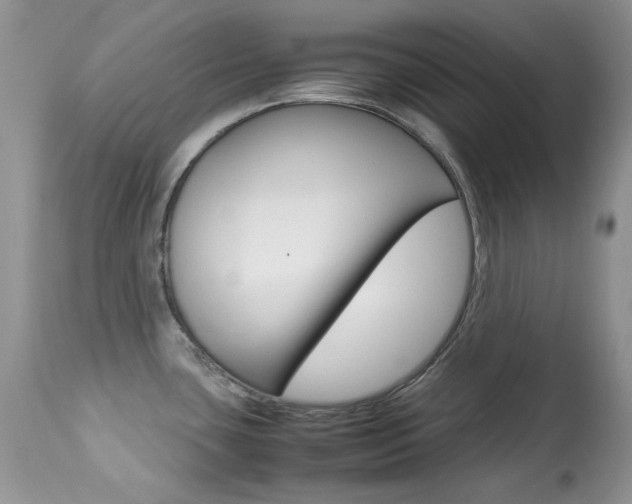 X0000113641435200909181318