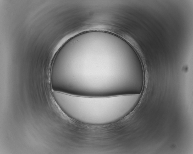 X0000113641436200909181318