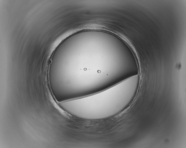 X0000113641437200909181318