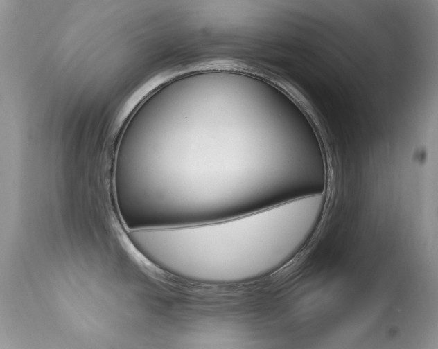 X0000113641438200909181318