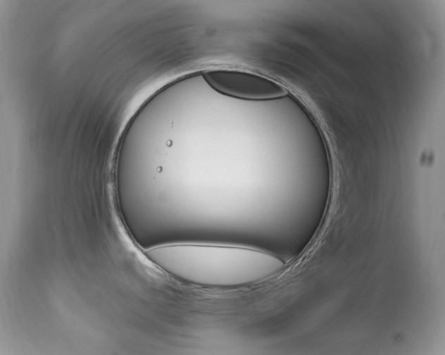 X0000113641440200909181318