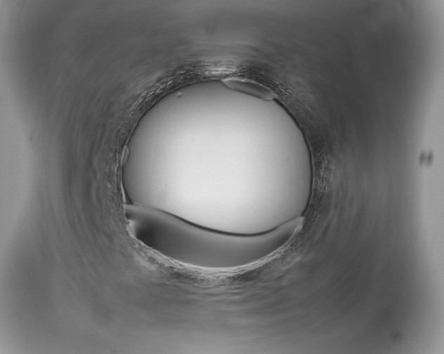 X0000113641441200909181318