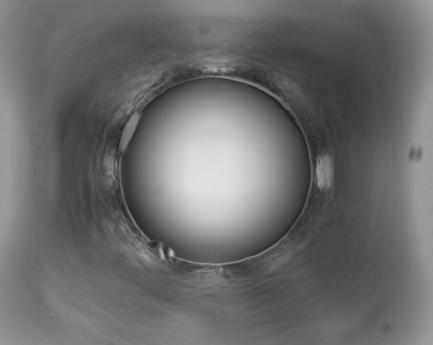 X0000113641444200909181318