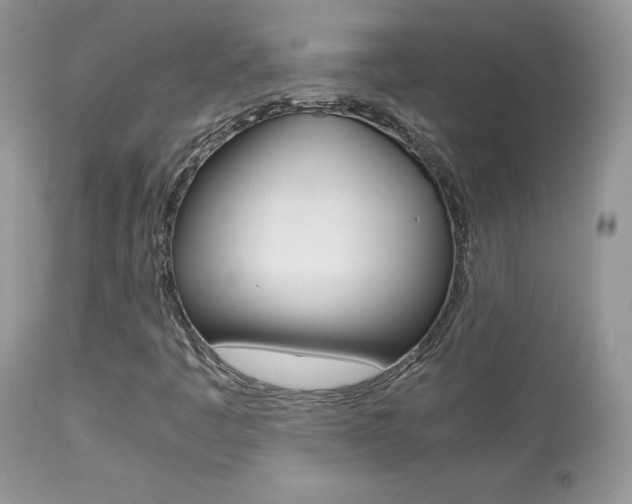 X0000113641445200909181318