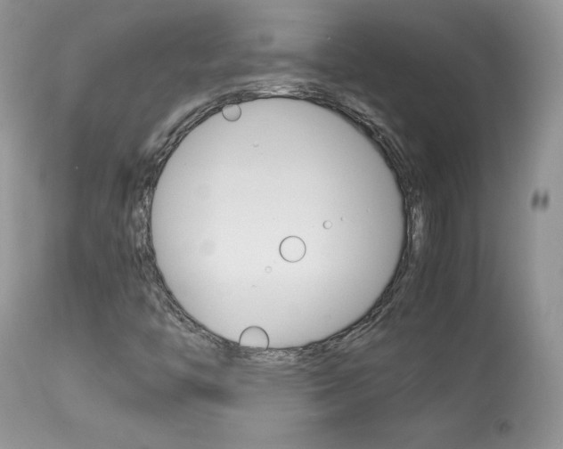 X0000113641446200909181318