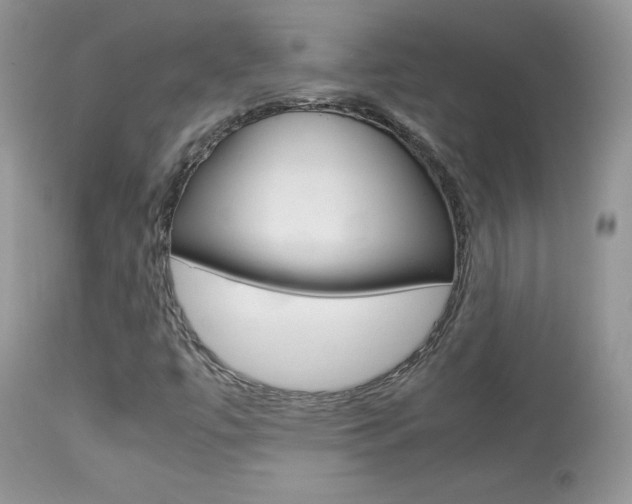 X0000113641447200909181318