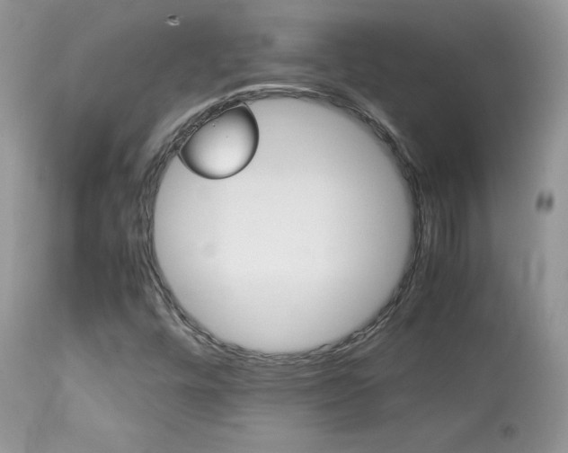 X0000113641448200909181318