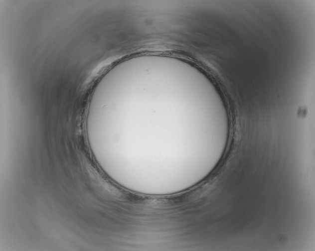 X0000113641451200909181317