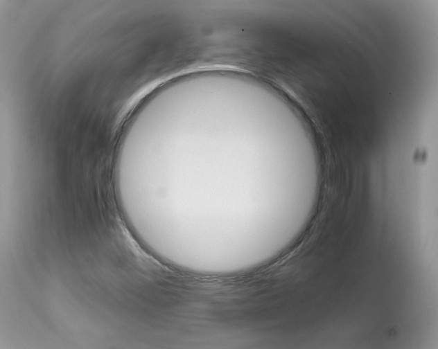 X0000113641452200909181317