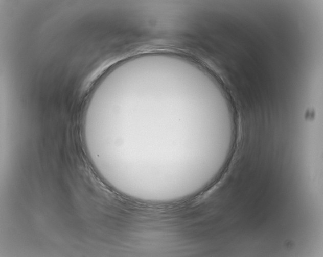 X0000113641453200909181317