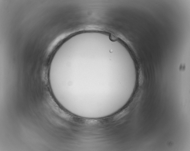 X0000113641454200909181317